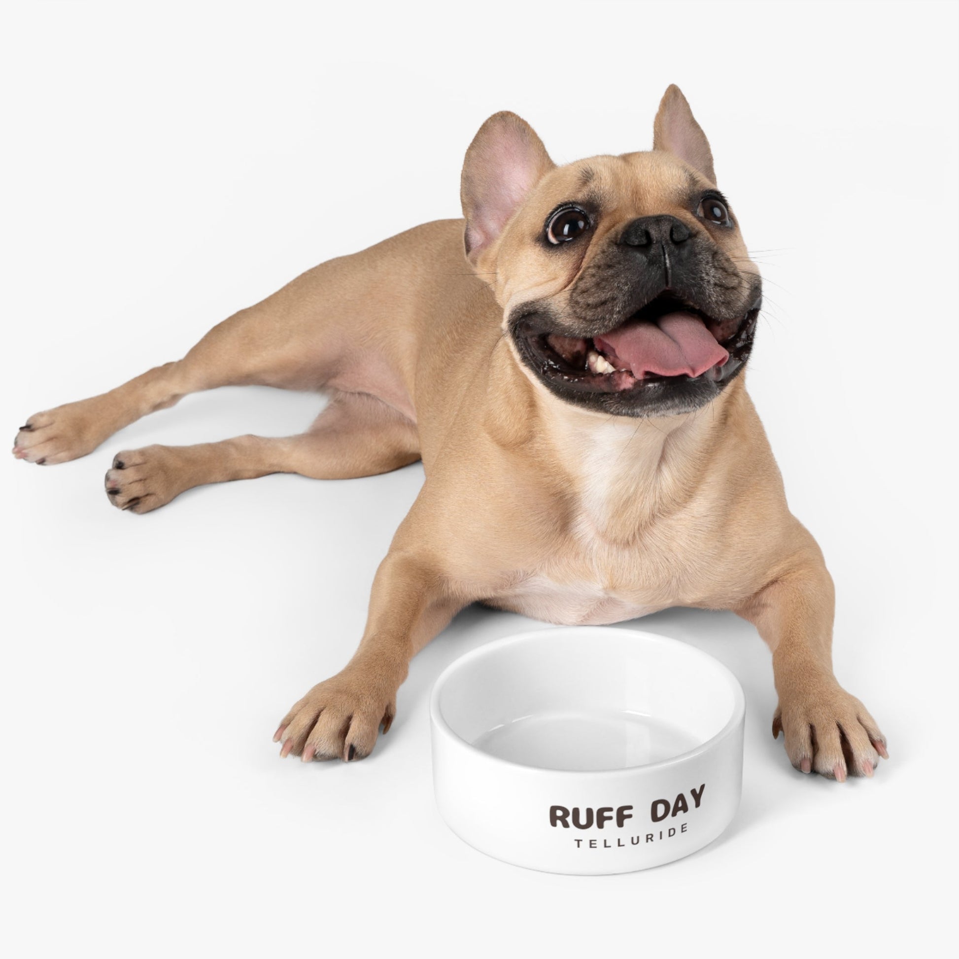 "Ruff Day" Dog Bowl - Telluride Shop