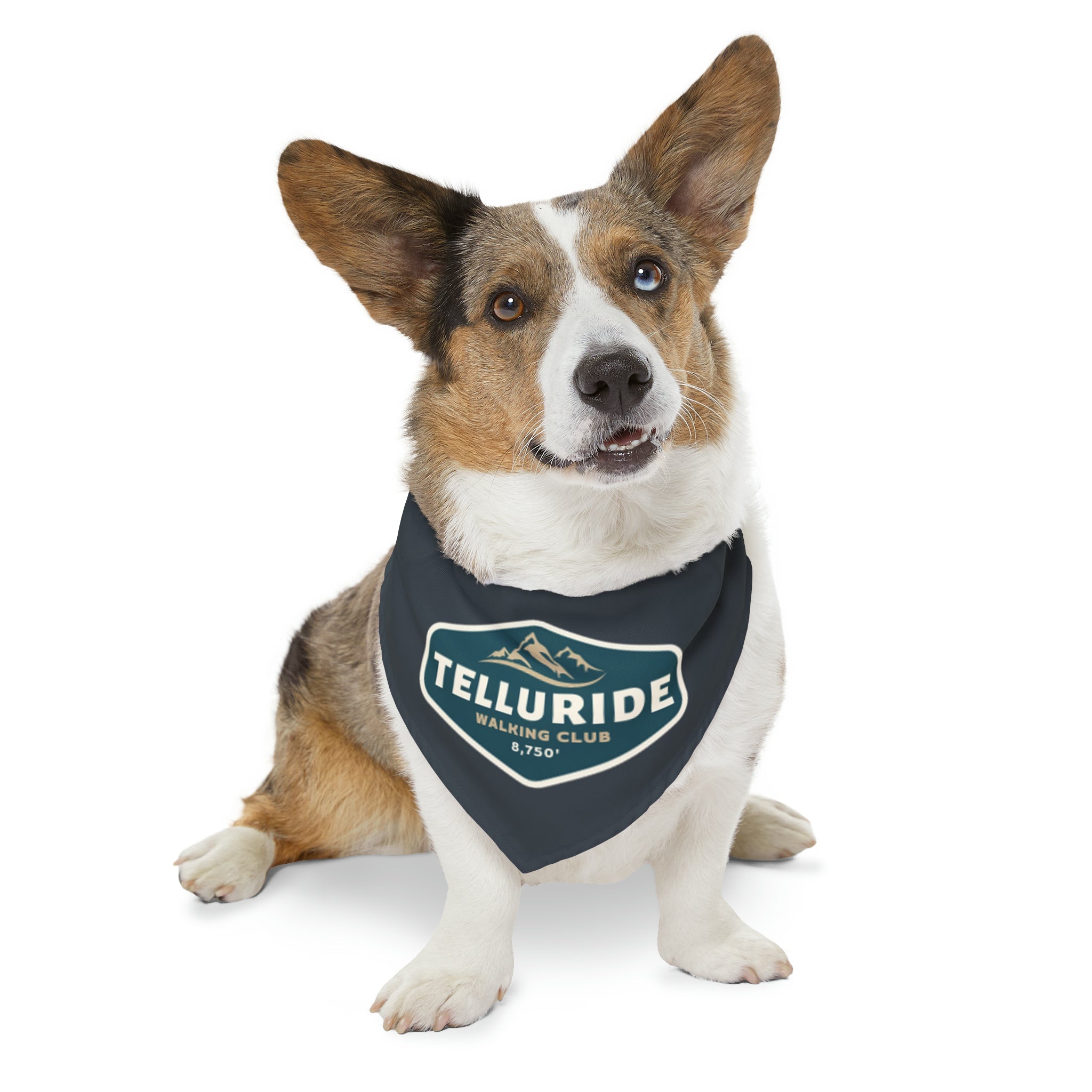 Telluride clothing company dog clearance clothes