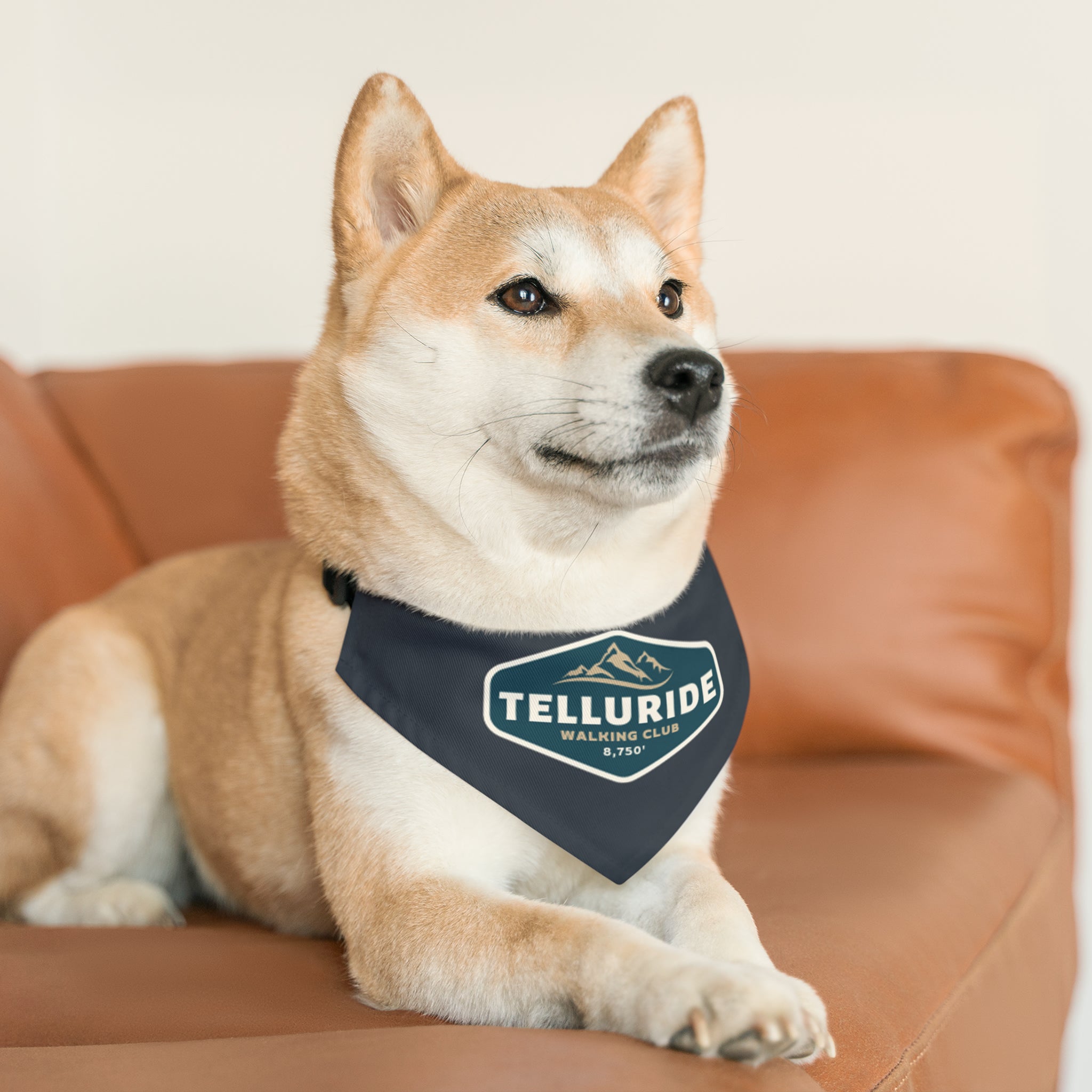 Telluride clothing hot sale company dog clothes